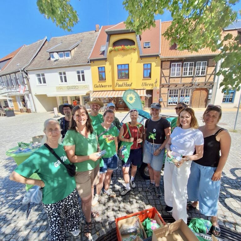 Grüne Schwaben in Sachsen-Anhalt – unser Beitrag zum Wahlerfolg