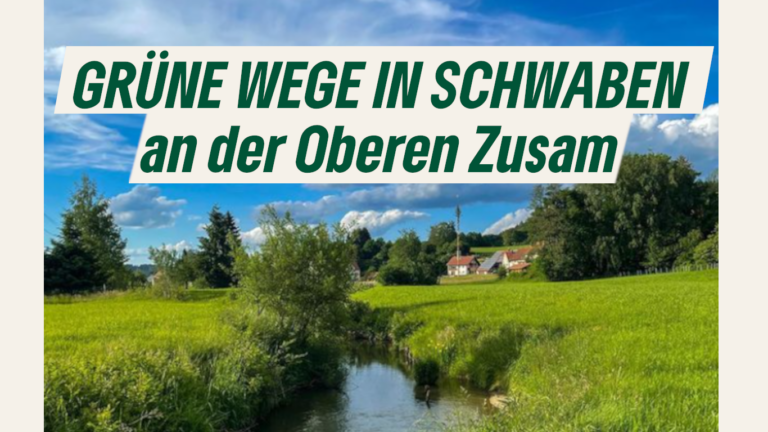 Ab in die Zusam zu den Wasserflöhen | Grüne Wege in Schwaben