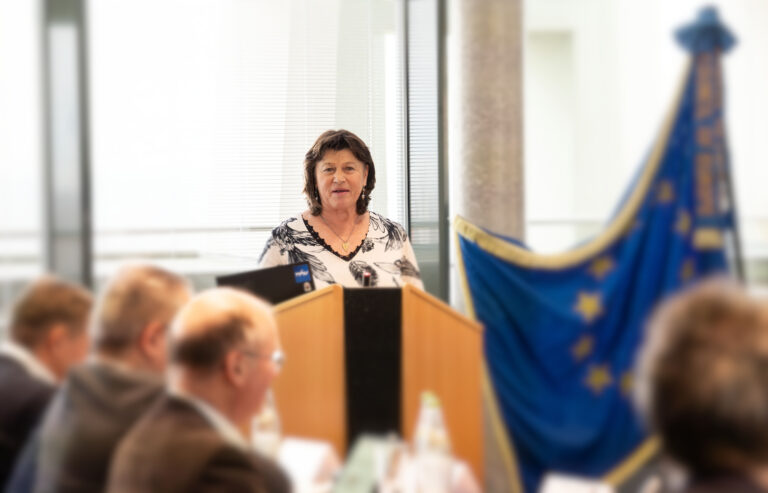 Haushaltsrede Bezirkshaushalt 2025